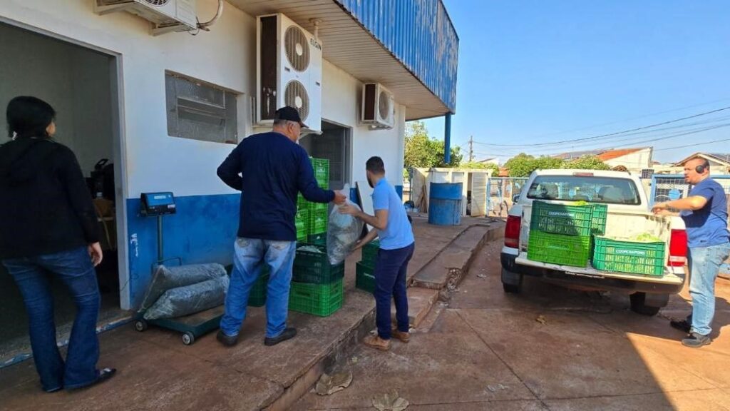 Alimentos adquiridos da agricultura familiar são repassados pela Prefeitura de Dourados para entidades beneficentes. Divulgação/Assecom