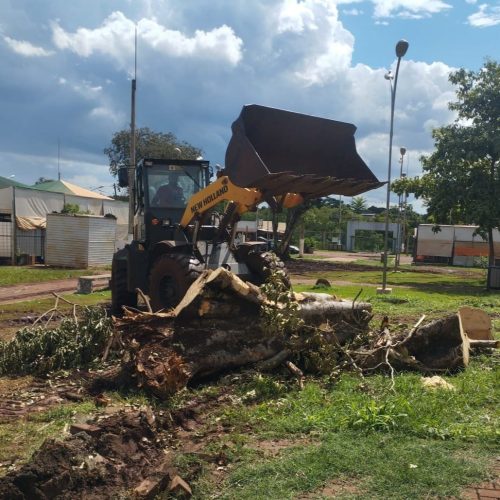 Trabalho em equipe de Secretarias Municipal removeu espécies com risco de queda no interior da Feira Central de Dourados