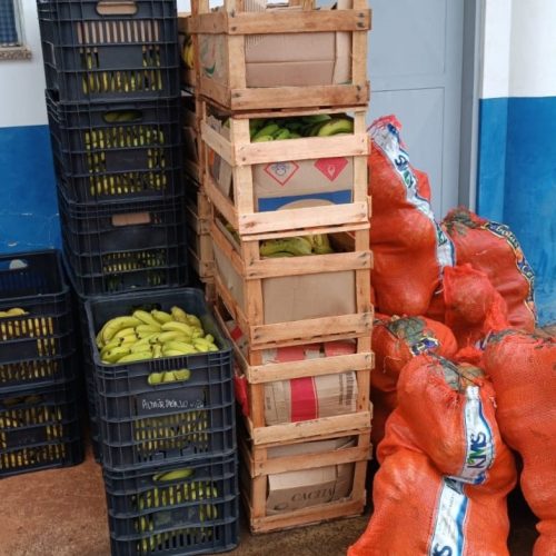 Alimentos da agricultura familiar estão sendo entregues a 11 entidades assistenciais de Dourados. Foto: Semaf