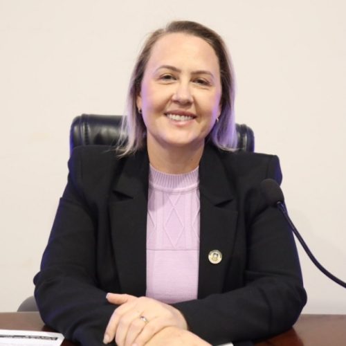 Liandra solicita prioridade de atendimento psicossocial para mães cuidadoras de crianças com TEA