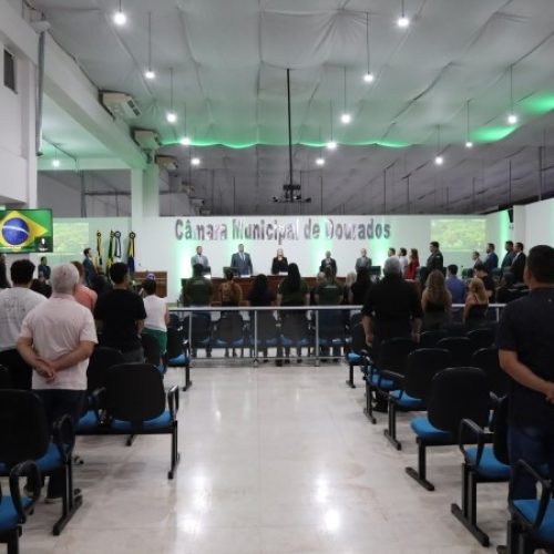 Divulgação