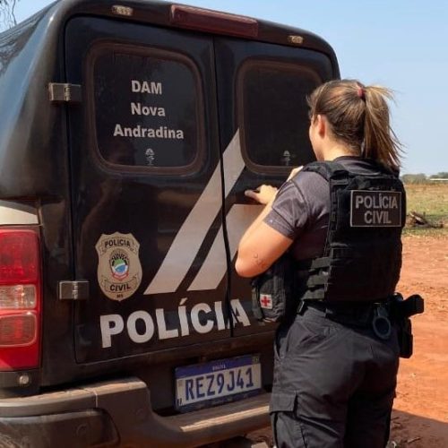 Divulgação