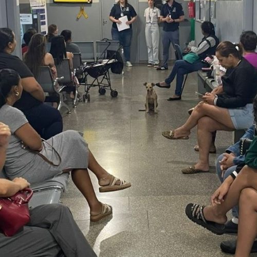 Unidades Básicas de Saúde estão encaminhando as pacientes para receber método contraceptivo mais eficaz, como o Diu. Foto: A. Frota