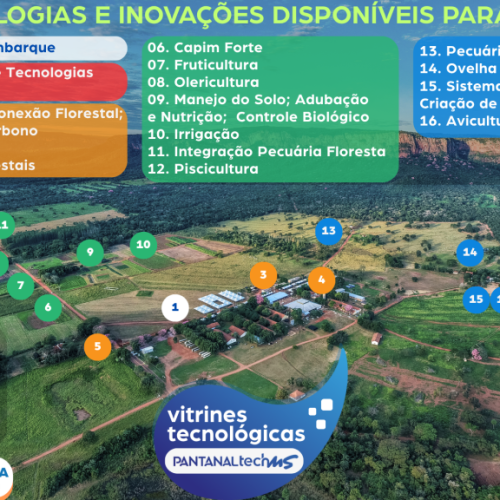 Divulgação