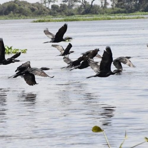 Foto: Bruno Rezende/Arquivo Secom