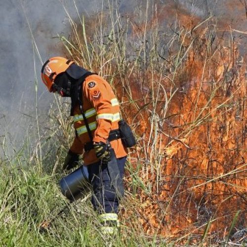 Foto: Bruno Rezende/Secom