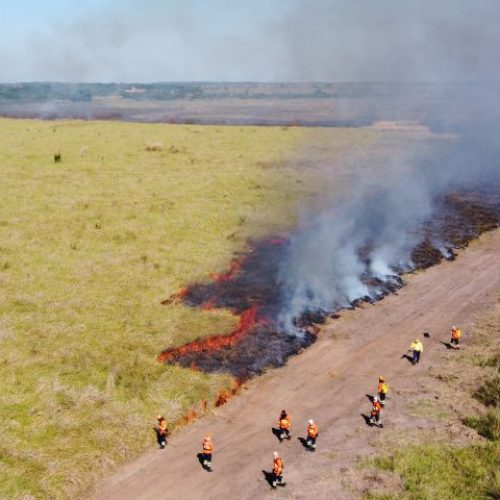 Governo de Mato Grosso do Sul Moderniza Controle de Queimadas e Fortalece Prevenção a Incêndios Florestais no Pantanal