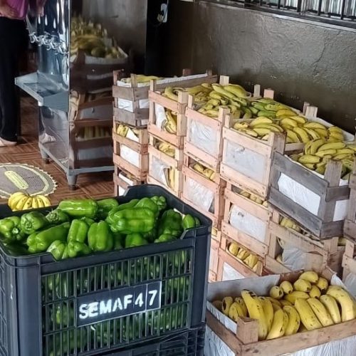 Produção da agricultura familiar, adquirida através do Programa de Aquisição de Alimentos, beneficia dezenas de entidades em Dourados. Foto: Divulgação/Assecom