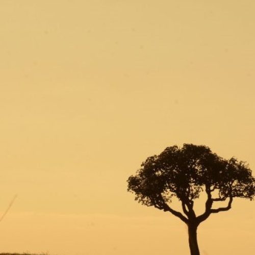 Foto: Álvaro Rezende/Secom