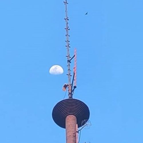 Foto: Saul Schramm