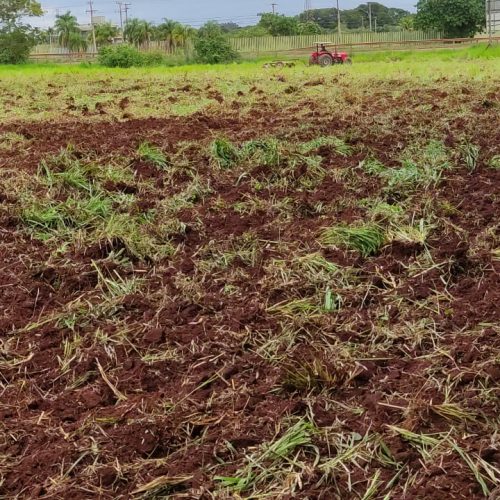Maquinários da Secretaria Municipal de Agricultura Familiar trabalham no apoio aos produtores. Foto: Semaf