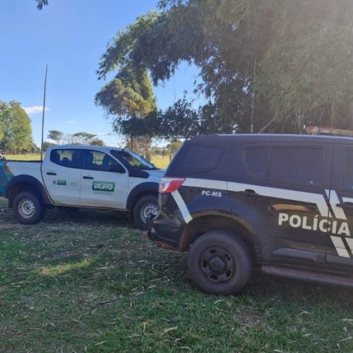 Divulgação