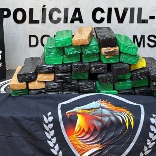 Divulgação