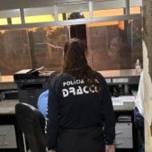 Divulgação