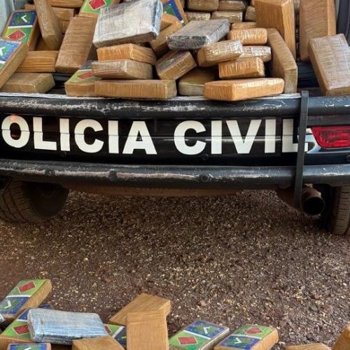 Divulgação