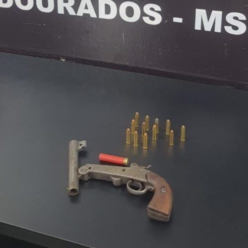 Divulgação