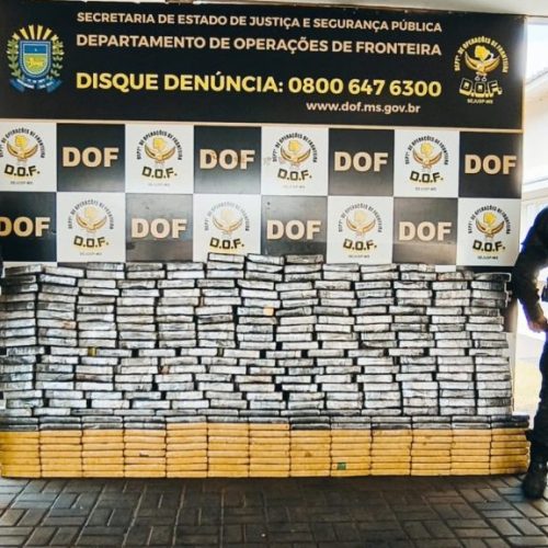 Divulgação