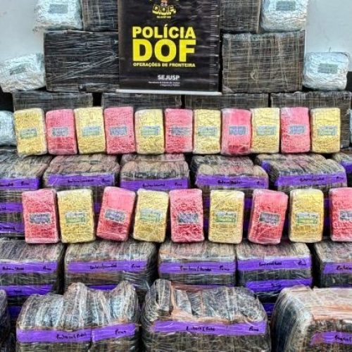 Divulgação