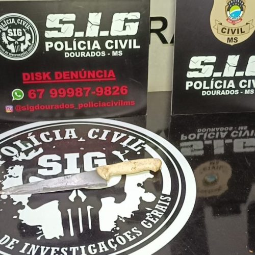 Divulgação