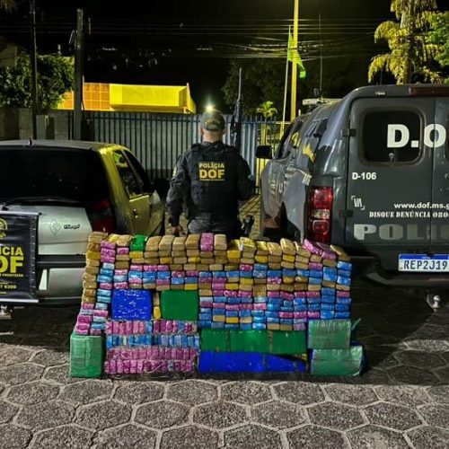 Divulgação