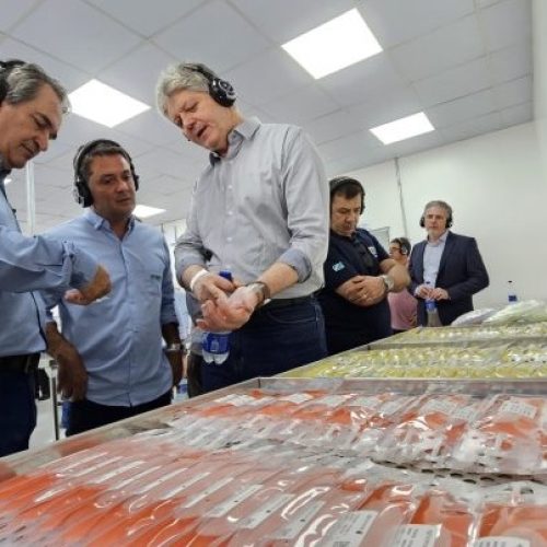 Foto: Mairinco de Pauda
