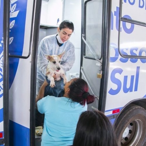 Com apoio e estrutura da Prefeitura de Dourados, Caravana da Castração fará 1.500 cirurgias entre os dias 3 e 12 de novembro. Divulgação/Assecom