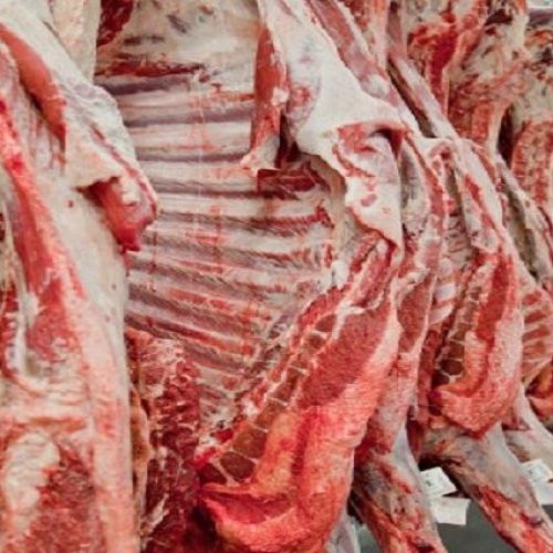 China impulsiona exportações de carne de MS e compensa queda nas compras dos EUA após tarifaço