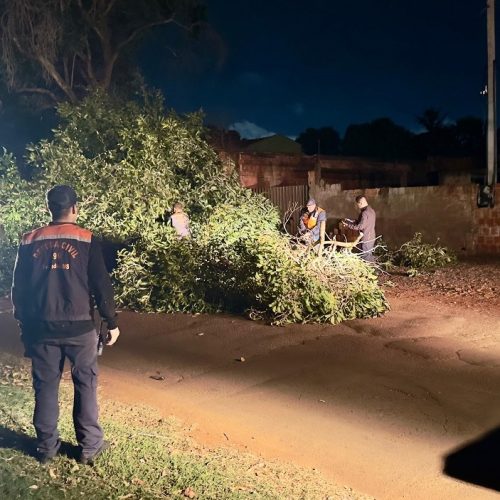 Ventos de até 80 km/h atingiram Dourados e prefeitura conduziu ações rápidas para atendimento- Divulgação/ Defesa Civil