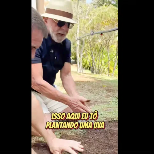 Frame Lulaoficial/intagram