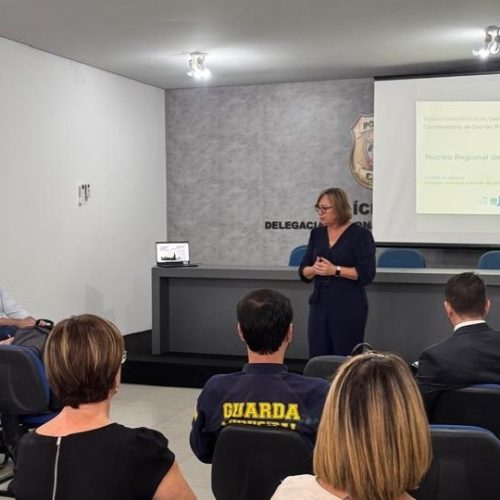 Secretária de Assistência Social, Shirley Flores Zarpelon, durante reunião com instituições parceiras da ação- Crédito: Divulgação