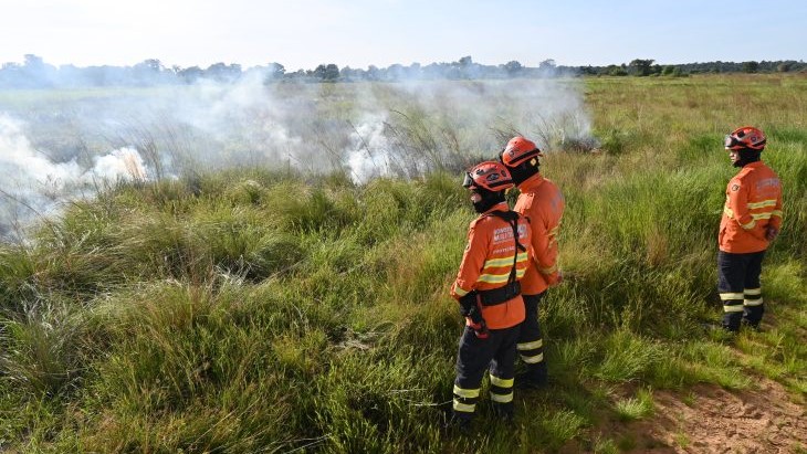 Governo de Mato Grosso do Sul Inova com Queima Prescrita para Proteger o Pantanal Governo de Mato Grosso do Sul Inova com Queima Prescrita para Proteger o Pantanal
