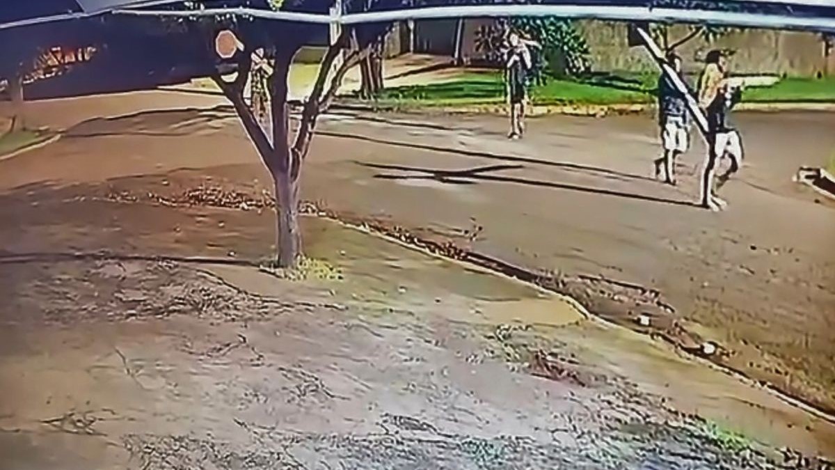 Prefeitura constata furto de cinco placas de trânsito e alerta a população Prefeitura constata furto de cinco placas de trânsito e alerta a população