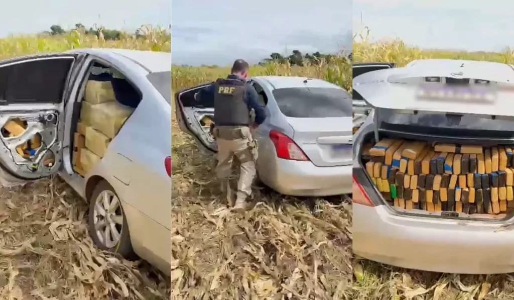 PRF prende quatro homens com carro cheio de maconha e haxixe em plantação de milho