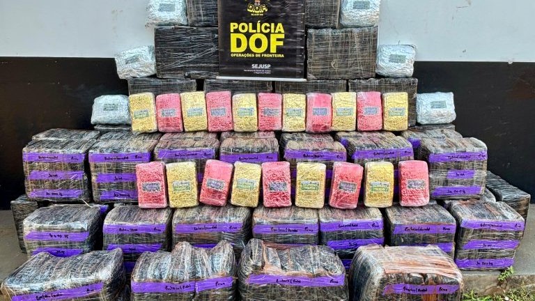 Policiais apreendem mais de R$ 5,5 milhões em drogas escondidas em meio a mata