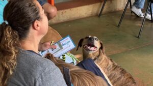 Foto: Victor Arguelho/Vice-governadoria