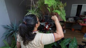 Foto: Álvaro Rezende/Secom