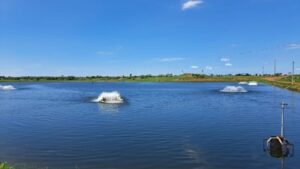 Foto: Mairinco de Pauda/Semadesc