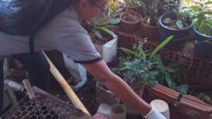 Agentes de combate de endemias fiscalizam casas, quintais e parques no combate aos focos do mosquito. Foto: A. Frota