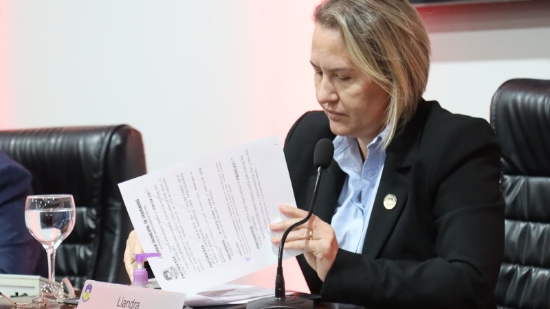 Câmara aprova projeto de Liandra que institui o Código Municipal da Mulher