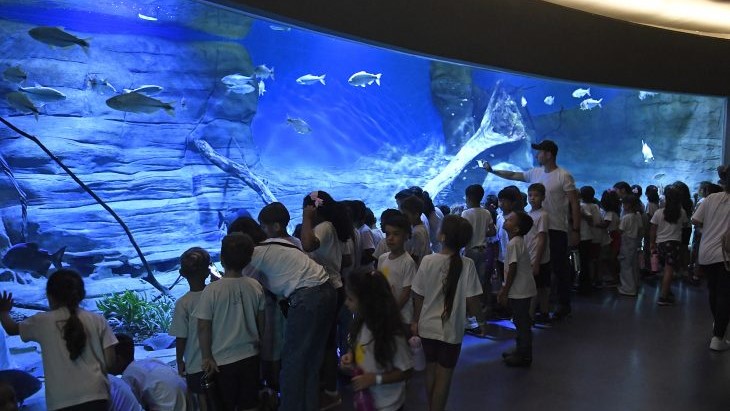 Bioparque Pantanal se consolida no mapa do turismo sustentável mundial