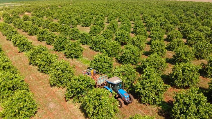 MS Citrus Summit vai debater nova fronteira produtiva em Três Lagoas