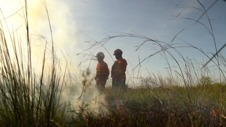 Operação Pantanal 2025 apresenta balanço com redução expressiva em focos de incêndios e hectares afetados