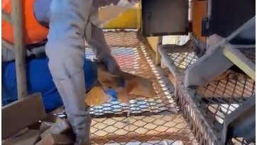 Polícia Civil incinera, toneladas de drogas em Dourados