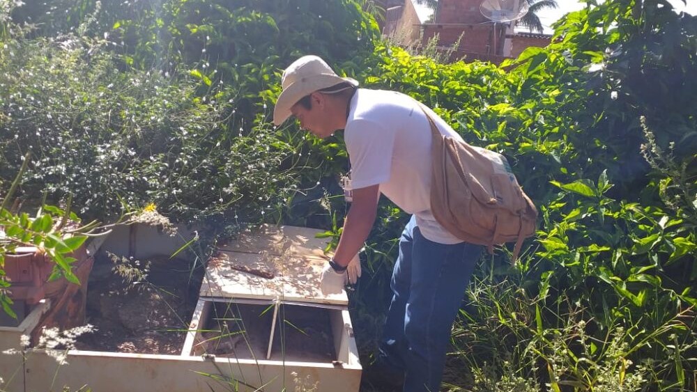 Centro de Zoonozes reforça alerta de combate à dengue com chuvas constantes em Dourados