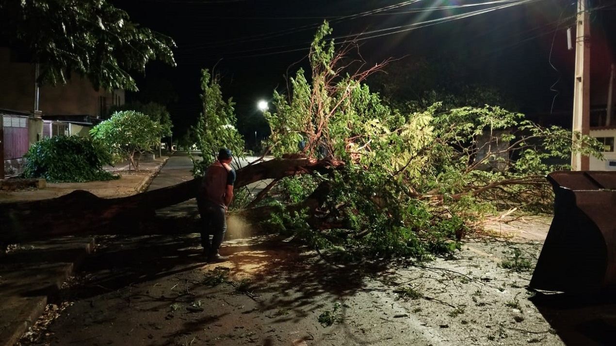 Prefeitura mobiliza força-tarefa após temporal causar estragos em Dourados