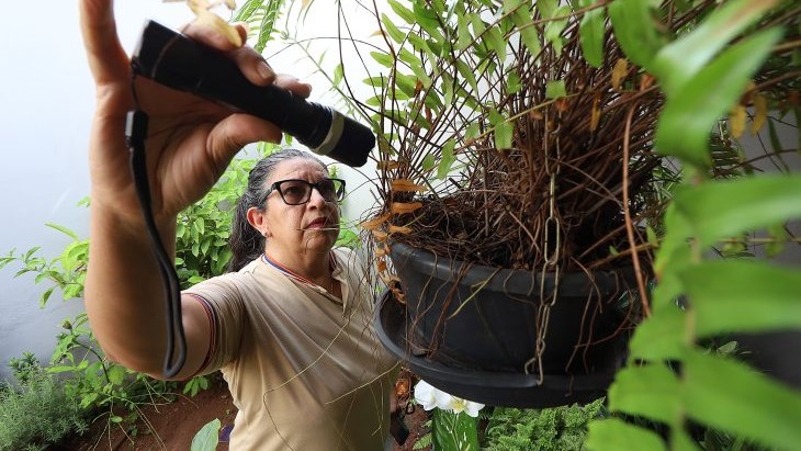 MS registra 8.461 casos confirmados de dengue