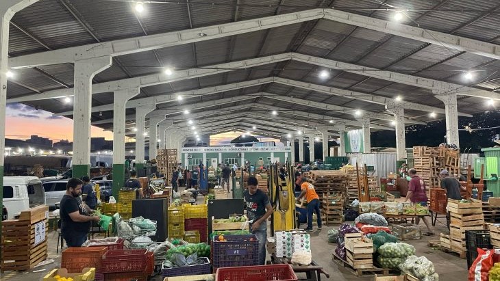 Do campo ao mercado: como o agricultor pode vender na Ceasa de Mato Grosso do Sul