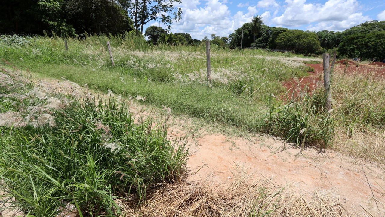 Secretaria de Serviços Urbanos começa a autuar proprietários de terrenos com mato e sujeira no dia 5