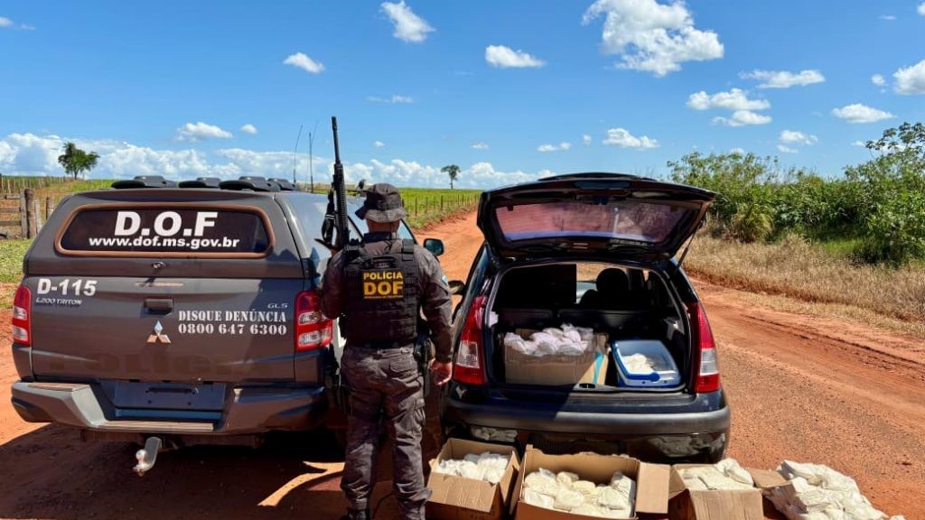 DOF apreende carro com mais de 150 quilos de agrotóxicos