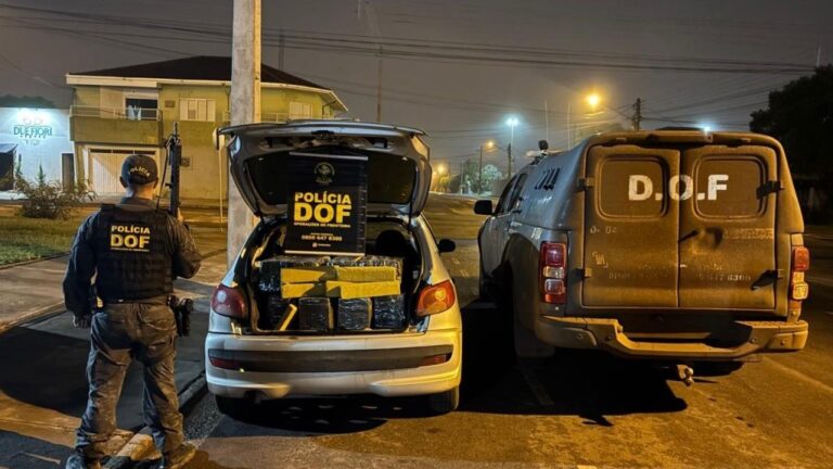 Policiais apreendem mais de 300 quilos de drogas